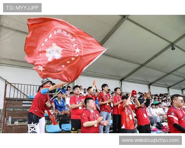 斗球dk说球为足球爱好者提供全面的比赛预测与赛前分析提升你的竞猜水平