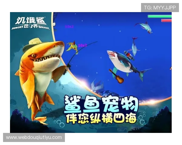 斗球官网电脑版下载最新版本介绍，丰富的游戏内容等你来体验