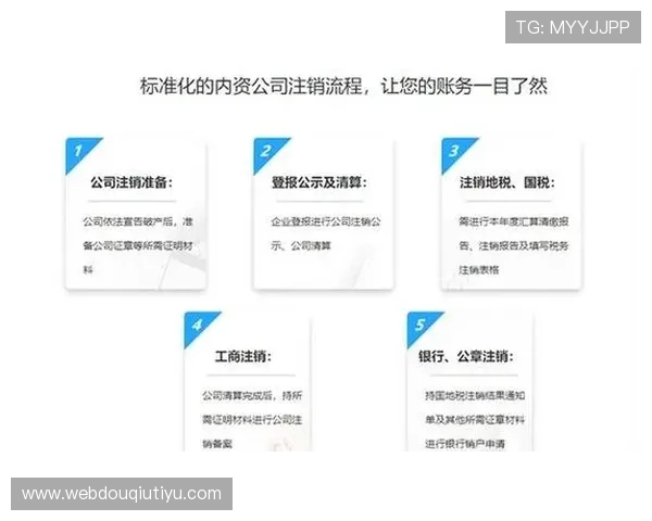 斗球官方下载全流程指南，帮助玩家轻松获取最新游戏版本体验